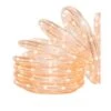 18 Ft. 50-Light Clear Rope Light