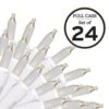 100-Light Clear With White Wire String To String Mini Light Set (Set Of 24)