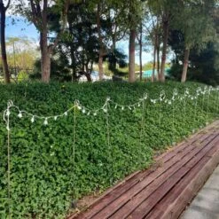 12 Pcs Pack For 37 In. Quick Light Post In Galvanized Color 15 12 Pcs Pack For 37 In. Quick Light Post In Galvanized Color -Northlight Shop christmas light accessories jlb qlp qlp01 31 1000