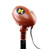 NCAA Michigan Wolverines Team Pride Light