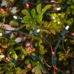 Home Accents Holiday 150 Count Red/Warm White Ribbon Concave LED Net Lights -Northlight Shop home accents holiday christmas net lights 24rt5142415rww a0 1000