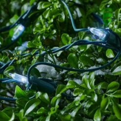 Home Accents Holiday 150 Count Cool White Steady Lit Mini LED Net Lights -Northlight Shop home accents holiday christmas net lights 24rt6301715cw a0 1000