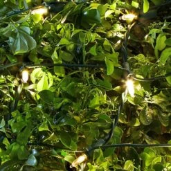 Home Accents Holiday 150 Count Warm White Steady Lit Mini LED Net Lights -Northlight Shop home accents holiday christmas net lights ty630 1715ww a0 1000