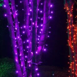17 Ft. 50-Light Purple 5 Mm LED Mini Light Set -Northlight Shop kringle traditions christmas string lights 75967 31 1000