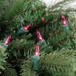 Northlight Set Of 100 Pink Mini Christmas Lights 2.5 In. Spacing With Green Wire -Northlight Shop northlight christmas string lights 32602415 1f 1000