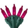 Northlight Set Of 100 Pink Mini Christmas Lights 2.5 In. Spacing With Green Wire