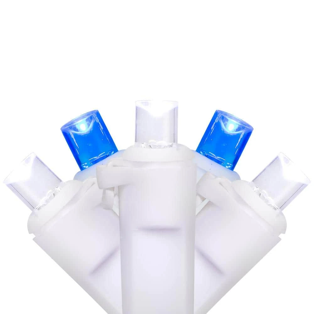 Northlight Set Of 50 LED Wide Angle Lights Blue/White LED - White Wire 1 Northlight Set Of 50 LED Wide Angle Lights Blue/White LED - White Wire