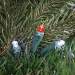 Northlight Set Of 50 Red And White LED Wide Angle Christmas Lights - Green Wire -Northlight Shop northlight christmas string lights 32608205 44 1000