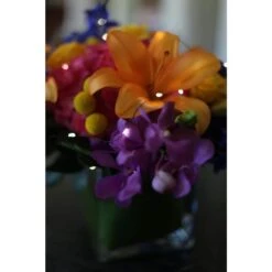 9 Ft. 36-Light Battery Operated LED White Ultra Thin Wire (Bundle Of 2) -Northlight Shop starlite creations christmas string lights ba03 w036 a1b 31 1000