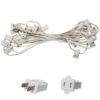 25 Ft. C7/E12 White Wire Socket Stringer With 12 In. Spacing