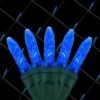 48 In. X 72 In. 100-Light M5 LED Blue Net Light Set