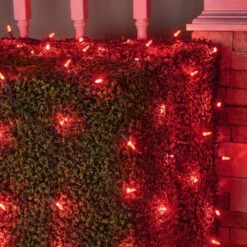 48 In. X 72 In. 100-Light M5 LED Red Net Light Set 7 48 In. X 72 In. 100-Light M5 LED Red Net Light Set -Northlight Shop wintergreen lighting christmas net lights 72502 c3 1000