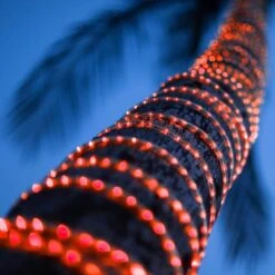 150 Ft. LED Red Rope Light Kit 9 150 Ft. LED Red Rope Light Kit -Northlight Shop wintergreen lighting christmas rope lights 73669 4f 1000