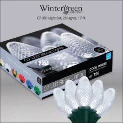SuperBright 16 Ft. 25-Light Cool White C7 String LED Light Set -Northlight Shop wintergreen lighting christmas string lights 20339 44 1000