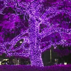 24 Ft. 70-Light Purple 5 Mm LED Mini Light Set -Northlight Shop wintergreen lighting christmas string lights 21037 1f 1000