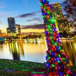 24.5 Ft. 50-Count LED Multi-Color Wide Angle Christmas Mini Light Set -Northlight Shop wintergreen lighting christmas string lights 75786 1f 1000