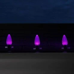 OptiCore 24 Ft. 25-Light Purple LED Faceted C9 String Light Set -Northlight Shop wintergreen lighting christmas string lights 78192 fa 1000