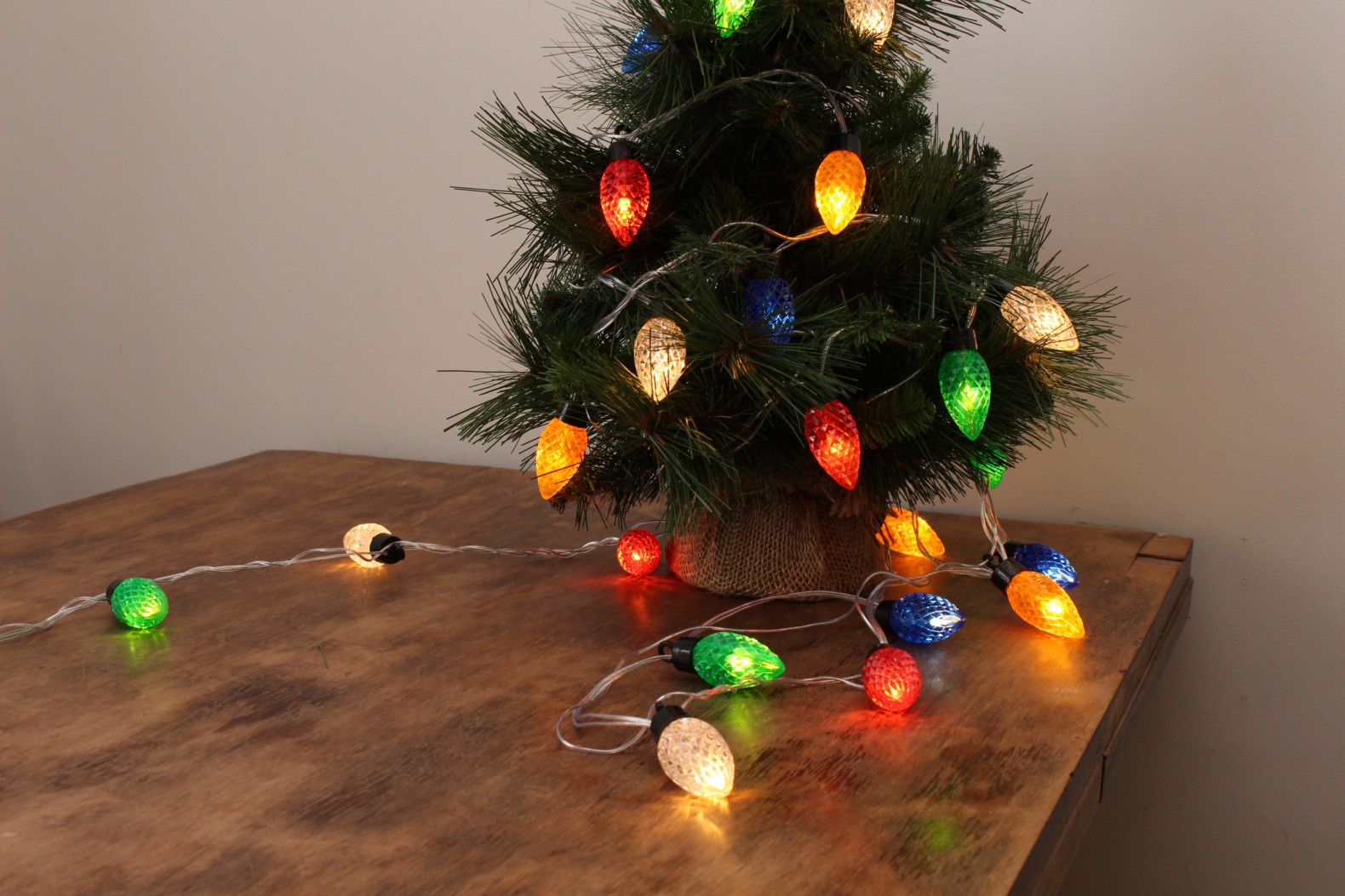 Front Page -Northlight Shop IMG 2021